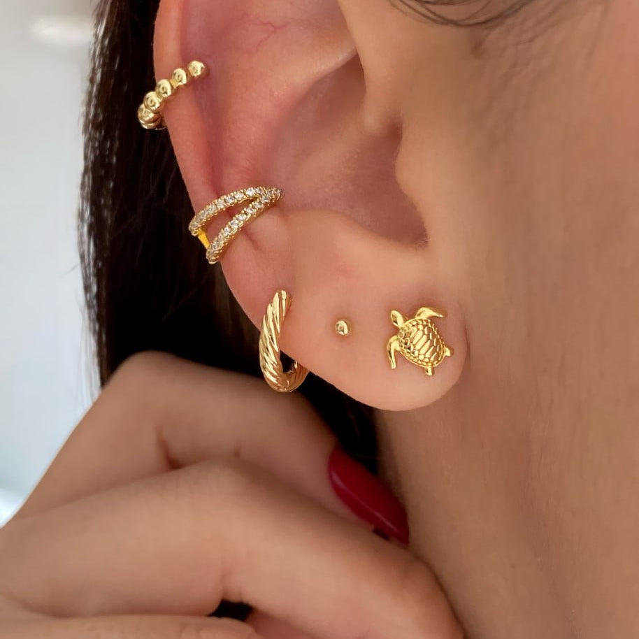 Arete Tortuga