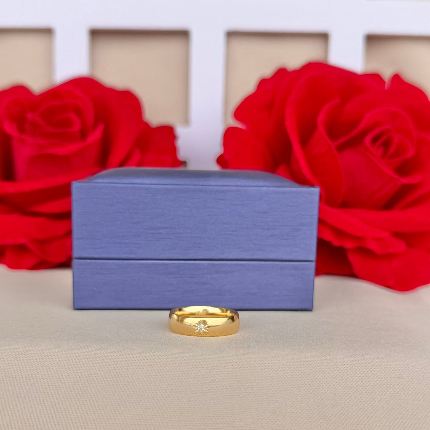 ANILLO ARGOLLA LISA CIRCON